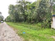 Terreno / Lote para Venda em Itanhaém/SP Jardim das...