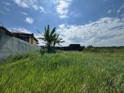 Terreno / Lote para Venda em Itanhaém/SP Jardim Diplomata