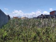 Terreno / Lote para Venda em Itanhaém/SP Jardim Jamaica