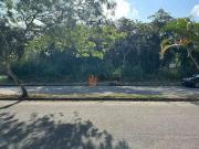Terreno / Lote para Venda em Itanhaém/SP Jardim Jamaica