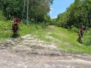 Terreno / Lote para Venda em Itanhaém/SP Jardim Maramba