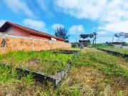 Terreno / Lote para Venda em Itanhaém/SP Jardim Regina