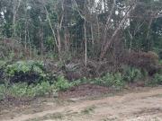 Terreno / Lote para Venda em Itanhaém/SP Jardim São Fernando