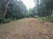 Terreno / Lote para Venda em Itanhaém/SP Jardim São Fernando