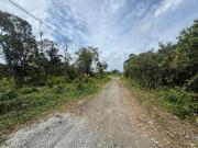 Terreno / Lote para Venda em Itanhaém/SP Luíza Mar