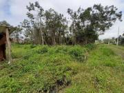 Terreno / Lote para Venda em Itanhaém/SP Luíza Mar Mirim