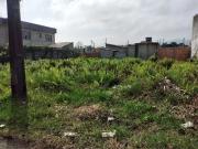 Terreno / Lote para Venda em Itanhaém/SP Nova Itanhaém