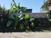 Terreno / Lote para Venda em Itanhaém/SP Nova Itanhaém