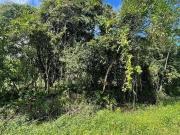 Terreno / Lote para Venda em Itanhaém/SP Palmeiras II