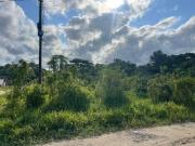 Terreno / Lote para Venda em Itanhaém/SP Parque Vergara