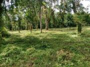 Terreno / Lote para Venda em Itanhaém/SP Parque Vergara