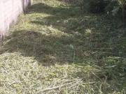 Terreno / Lote para Venda em Itanhaém/SP Verde Mar