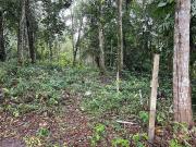 Terreno / Lote para Venda em Itanhaém/SP Vila Loty