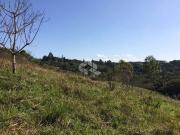 Terreno / Lote para Venda em Itapecerica da Serra/SP Lagoa