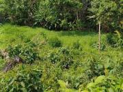 Terreno / Lote para Venda em Itapevi/SP Jardim Nova Cotia