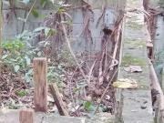 Terreno / Lote para Venda em Itapevi/SP Recanto Verde