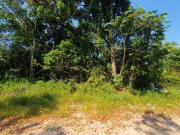 Terreno / Lote para Venda em Itapoá/SC Brandalize
