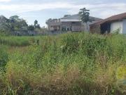 Terreno / Lote para Venda em Itapoá/SC Brandalize