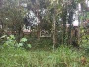 Terreno / Lote para Venda em Itapoá/SC Itapema do Norte