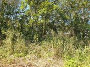 Terreno / Lote para Venda em Itapoá/SC Santa Terezinha