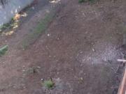 Terreno / Lote para Venda em Itaquaquecetuba/SP Jardim...