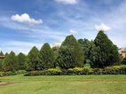 Terreno / Lote para Venda em Itatiba/SP Residencial Moenda