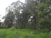 Terreno / Lote para Venda em Itu/SP Apotribu