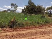 Terreno / Lote para Venda em Jaboticatubas/MG Campo Alegre
