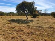Terreno / Lote para Venda em Jaboticatubas/MG Horto Do...