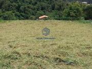 Terreno / Lote para Venda em Jacareí/SP Jardim Coleginho