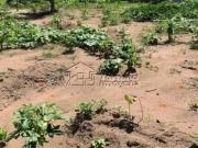 Terreno / Lote para Venda em Jacareí/SP Loteamento Villa...