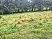 Terreno / Lote para Venda em Jaguariúna/SP Área Rural de...