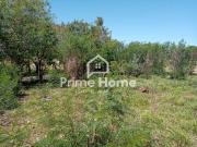 Terreno / Lote para Venda em Jaguariúna/SP Roseira de Baixo