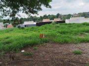 Terreno / Lote para Venda em Jaguariúna/SP Sagrado...