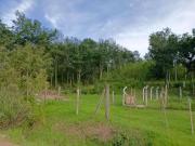 Terreno / Lote para Venda em Jaguariúna/SP Terras da...