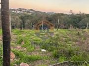 Terreno / Lote para Venda em Jarinu/SP Caioçara