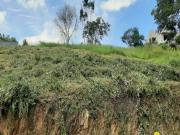 Terreno / Lote para Venda em Jarinu/SP Centro