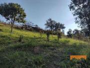 Terreno / Lote para Venda em Jarinu/SP Centro