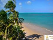 Terreno / Lote para Venda em João Pessoa/PB Jardim Oceania