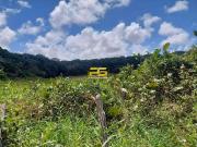 Terreno / Lote para Venda em João Pessoa/PB Valentina de...