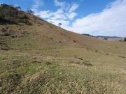 Terreno / Lote para Venda em Joanópolis/SP Bairro dos Pretos