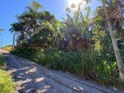 Terreno / Lote para Venda em Joinville/SC Itaum