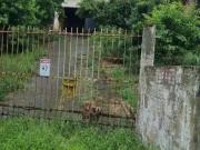 Terreno / Lote para Venda em Joinville/SC Itaum