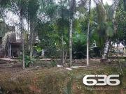 Terreno / Lote para Venda em Joinville/SC Nova Brasília Terreno / Lote para Venda em Joinville/SC Nova Brasília