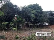 Terreno / Lote para Venda em Joinville/SC Nova Brasília