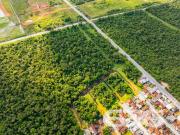 Terreno / Lote para Venda em Joinville/SC Nova Brasília