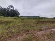 Terreno / Lote para Venda em Joinville/SC Paranaguamirim