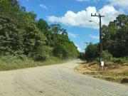 Terreno / Lote para Venda em Joinville/SC Vila Nova