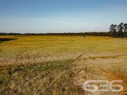 Terreno / Lote para Venda em Joinville/SC Vila Nova