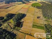 Terreno / Lote para Venda em Joinville/SC Vila Nova